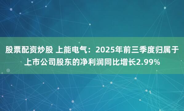 股票配资炒股 上能电气：2025年前三季度归属于上市公司股东的净利润同比增长2.99%