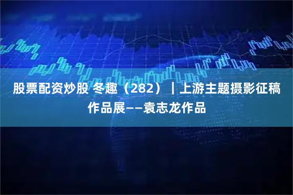 股票配资炒股 冬趣（282）｜上游主题摄影征稿作品展——袁志龙作品
